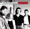 I Was Only 19 (A Walk In the Light Green) - Redgum