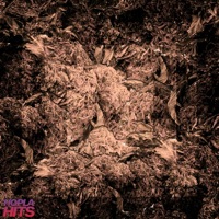 Nowy Jork (feat. MaleC) - Single - Sam Antonio