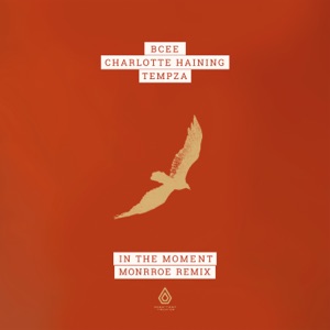 In the Moment (Monrroe Remix)