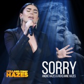 Sorry (Holland Zingt Hazes) artwork