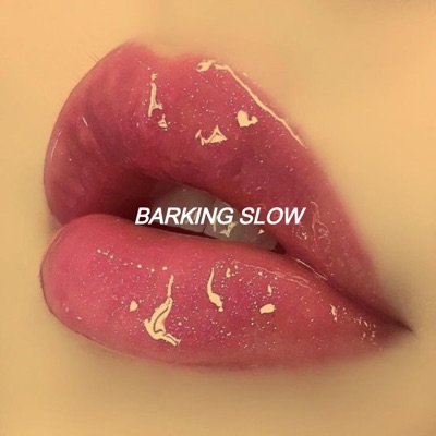718citybeats - barking slow (I might link my ting from Barkin')