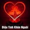 Điệu tình khôn nguôi