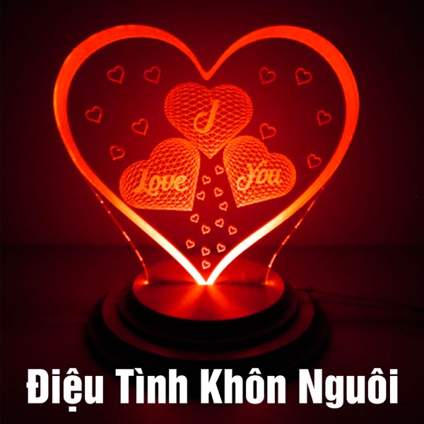 Điệu tình khôn nguôi