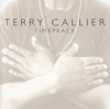 Timepeace - Terry Callier