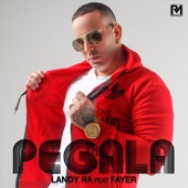 Pegala (feat. Fayer) artwork