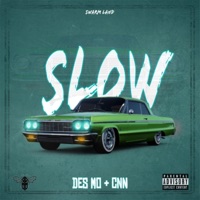 Slow (feat. CNN) - Single - Des Mo