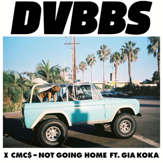 Cover artwork for Not Going Home