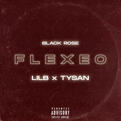 Flexeo (feat. LilB Brk & Tysan) - Single