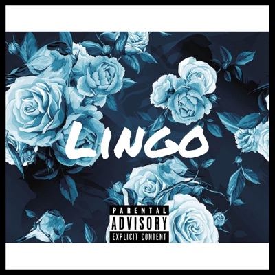 Lingo - Single
