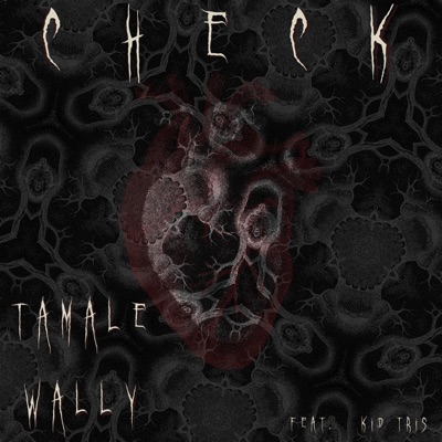 Check (feat. Kid Tris) - Single