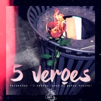 5 Verões - Single - Fernandes