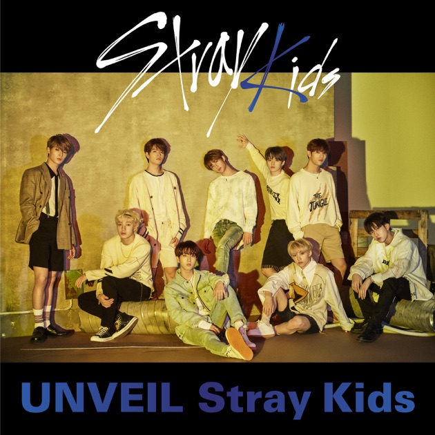 UNVEIL Stray Kids - Album by Stray Kids - Apple Music