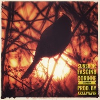Sunshine (feat. Corinne Elizabeth) - Single - FasciN8