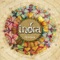 Narayana - Indra Mantras lyrics