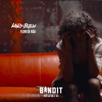 Flori de Rău - Single - Keri & Butch