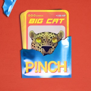 Big Cat - Single