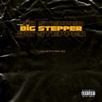 Big Steppa (feat. King Hez) - Single - Flash NLTG