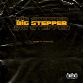 Big Steppa (feat. King Hez) Flash NLTG