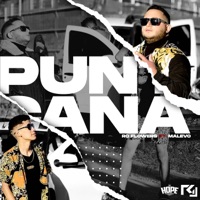 Punta Cana - Single - Ro Flowers & El Malevo