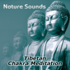 Nature Sounds – Relaxation & Tibetan Chakra Meditation, Healing Massage and Spa, Yoga Music Sound Therapy for Chakra Balancing, Baby Deep Sleep, Studying Music - Chakra Healing Music Academy