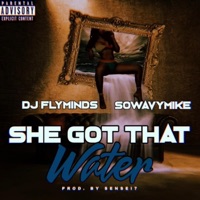 She Got That Water (feat. SoWavyMike) - Single - DJ Flyminds