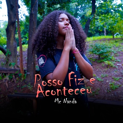 Posso Fiz e Aconteceu - Single