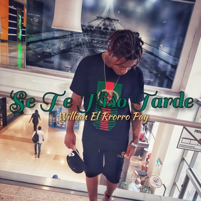 Se Te Hiso Tarde - Single