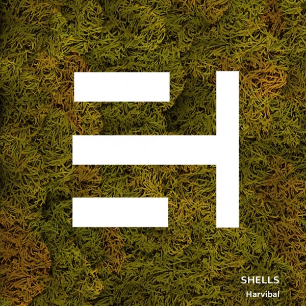Shells - Single