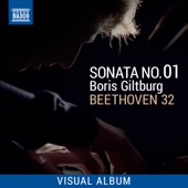 Beethoven 32: Sonata No. 1 (Visual Album) artwork