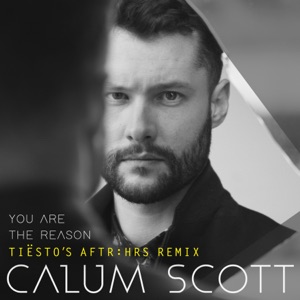 You Are the Reason (Tiësto's AFTR:HRS Remix)