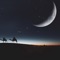 Sahara Nights artwork