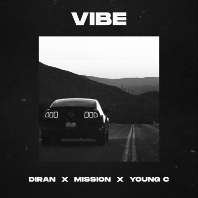 Vibe (feat. Mission & Young C) - Single
