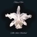 Aha Shake Heartbreak