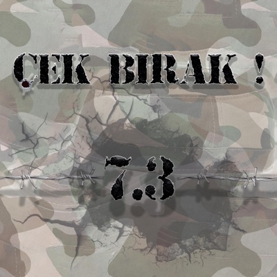 7.3 - Çek Bırak - Single