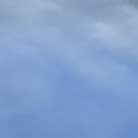 Reality - Single - Domana