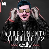 MTG Aquecimento Tumulto #02 - Single - DJ Wally