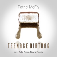 Teenage Dirtbag (feat. Wheatus) - EP - Patric McFly