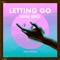 Letting Go (Dangi Remix) - Josh Dreon lyrics