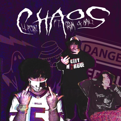 Chaos