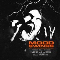 Mood Swings (feat. indigomerkaba) - Single - Jab