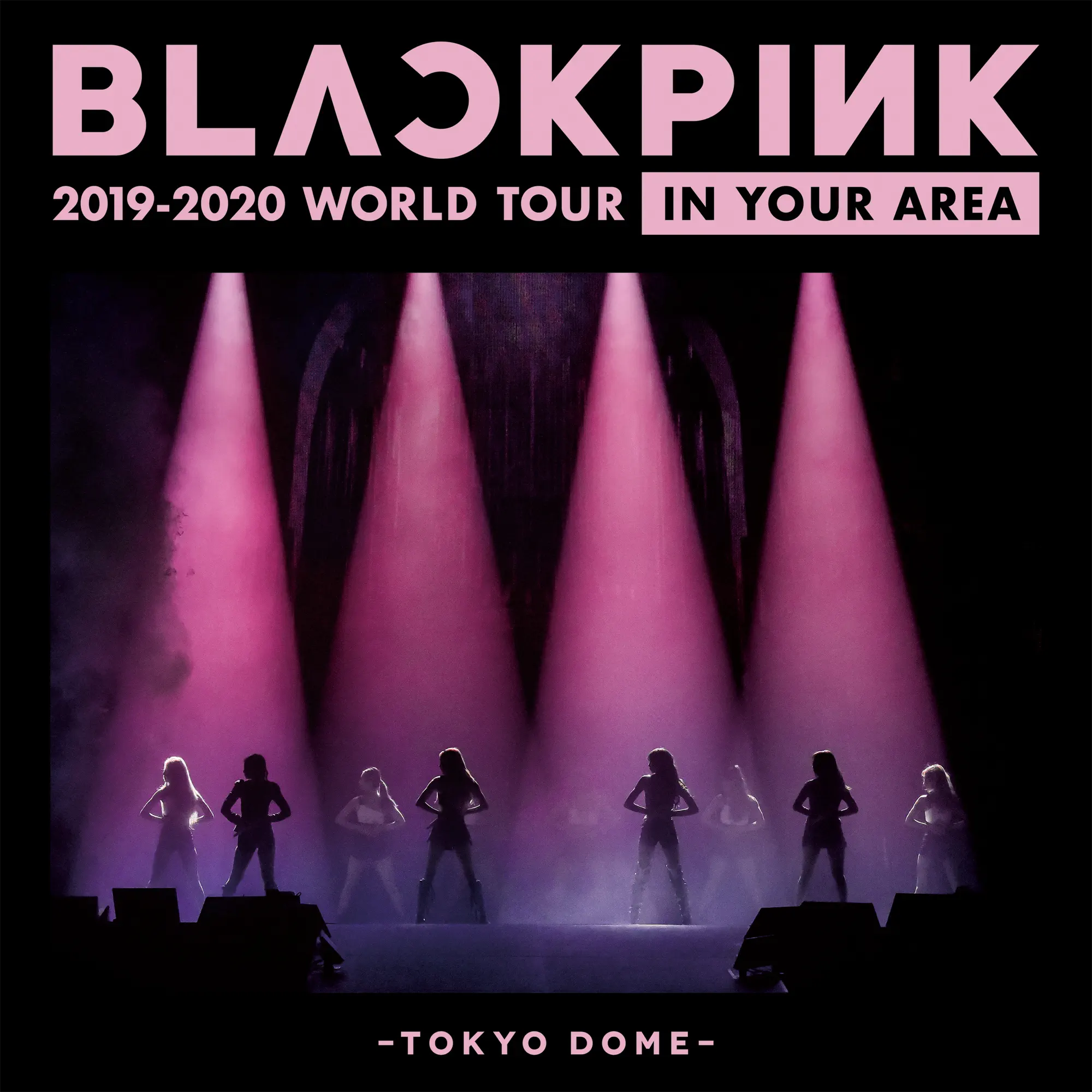 BLACKPINK IN YOUR AREA TOKYO DOME トレカ BLACKPINK Japan Tokyo Dome Tour DVD PHOTOCARD wishlist