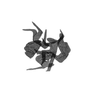 Janato - EP