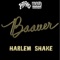 Harlem Shake - Baauer lyrics