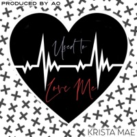 Used to Love Me - Single - Krista Mae