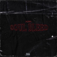 Soul Bleed - Single - Jaysfl