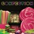 Confection-You Got the Love