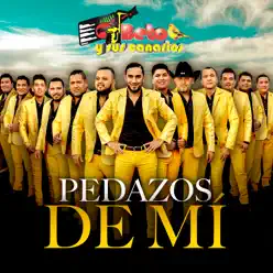 Pedazos de Mi - Single - Beto y Sus Canarios