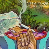 Chronic Chronicles - Young Fla$h