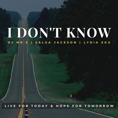 I Don't Know (feat. Salua Jackson & Lydia Eku) - Single