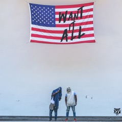 Want It All - Single